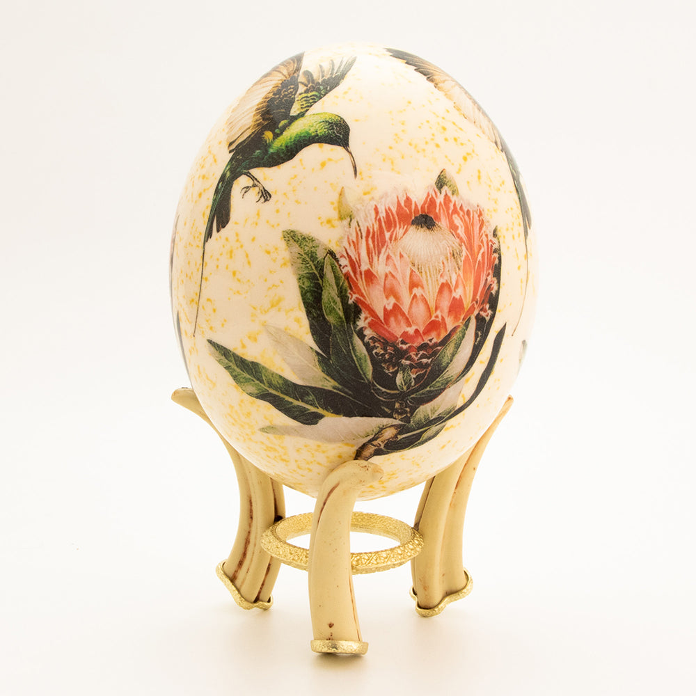 Protea Flower & Sunbird Egg with stand